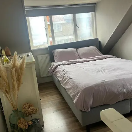 House Holiday home Noordwijk